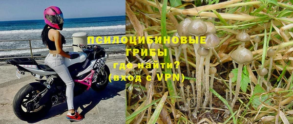 гашик Балахна