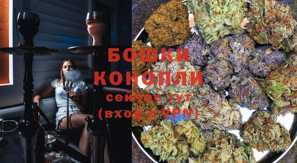 гашик Балахна